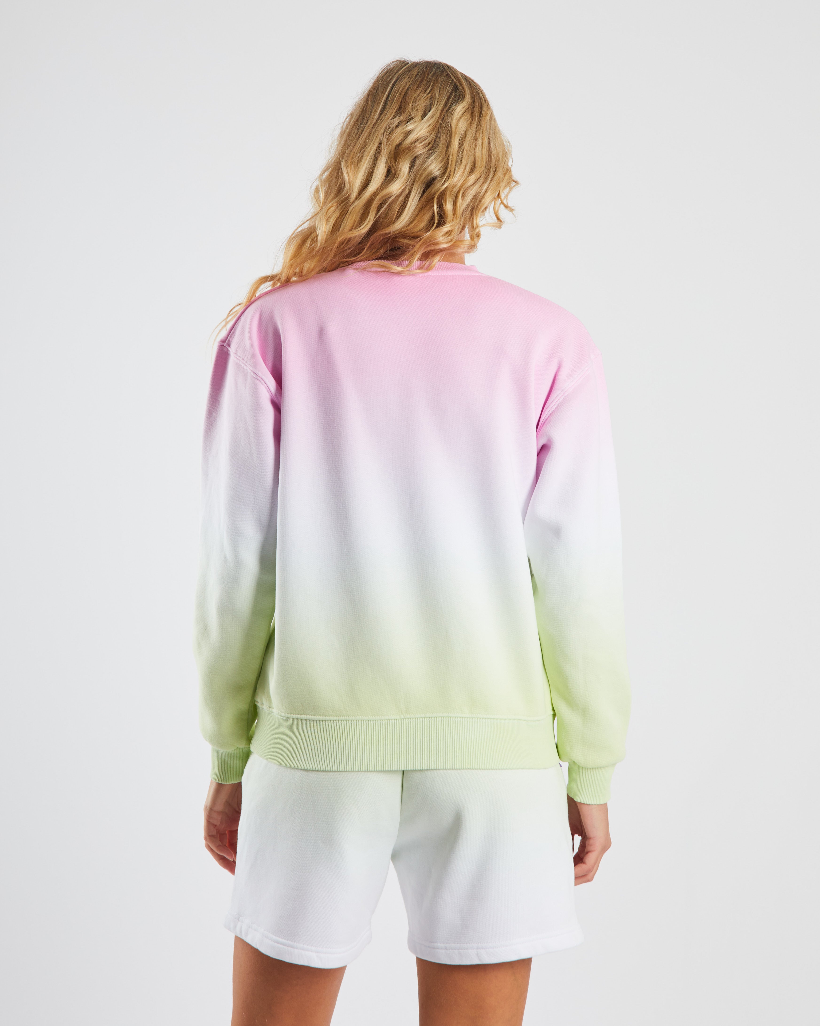 Dayna Sweater Pink/Green Ombre